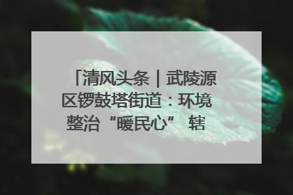 清风头条｜武陵源区锣鼓塔街道：环境整治“暖民心” 辖区面貌“靓”起来